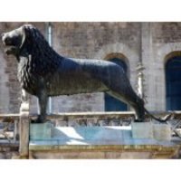 Hier gibt es weitere Infos